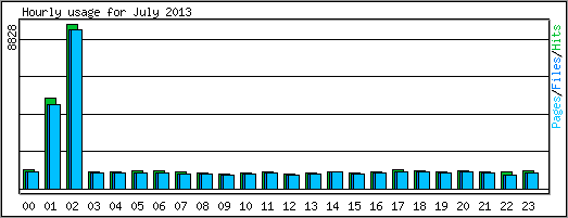 Hourly usage