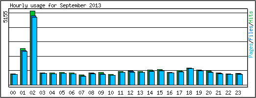 Hourly usage