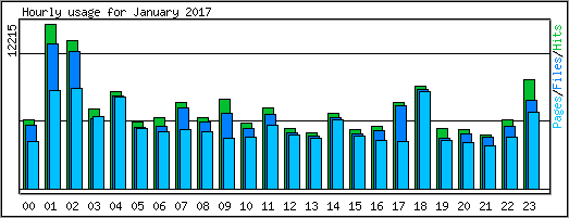 Hourly usage