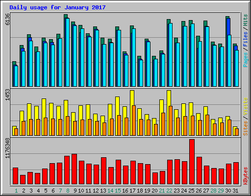 Daily usage for January 2017