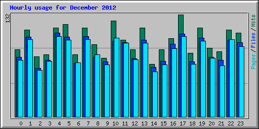 Hourly usage for December 2012