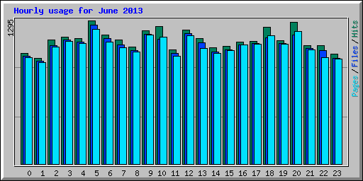 Hourly usage for June 2013