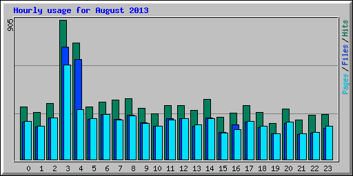 Hourly usage for August 2013