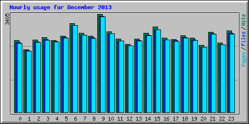 Hourly usage for December 2013