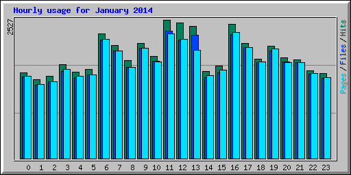 Hourly usage for January 2014