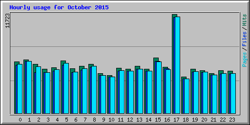 Hourly usage for October 2015