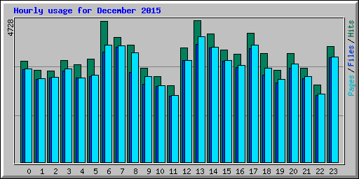 Hourly usage for December 2015