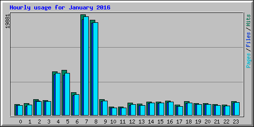 Hourly usage for January 2016