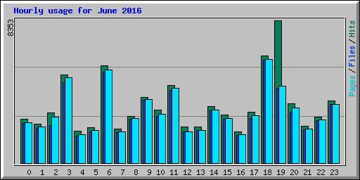 Hourly usage for June 2016