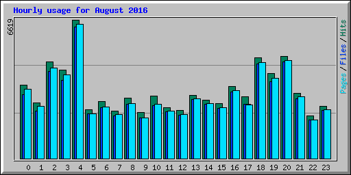 Hourly usage for August 2016