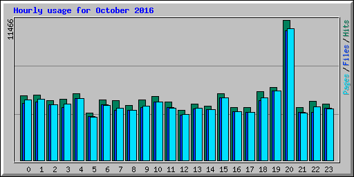 Hourly usage for October 2016