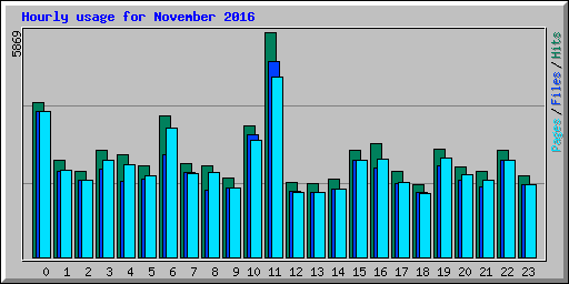 Hourly usage for November 2016