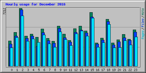 Hourly usage for December 2016