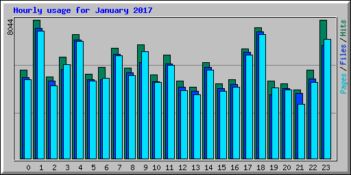 Hourly usage for January 2017