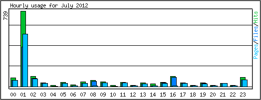 Hourly usage