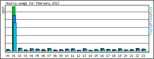 Hourly usage