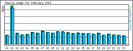 Hourly usage