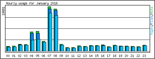 Hourly usage