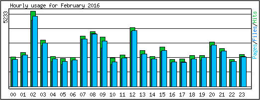 Hourly usage