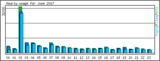 Hourly usage