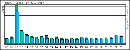 Hourly usage