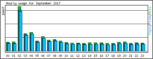 Hourly usage