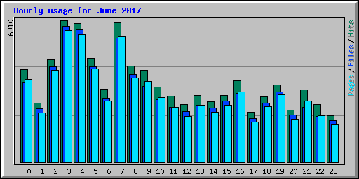 Hourly usage for June 2017