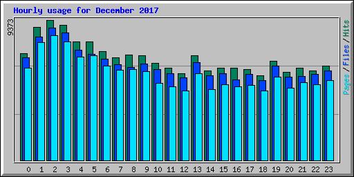 Hourly usage for December 2017